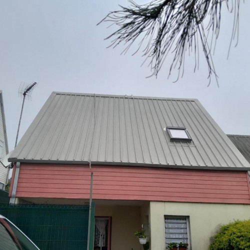 toiture remise en peinture